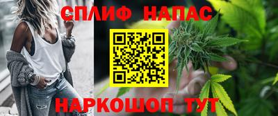 гидра Малгобек