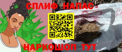 гидра Малгобек