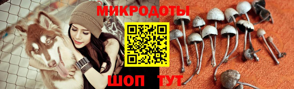 Псилоцибиновые грибы GOLDEN TEACHER Балаково